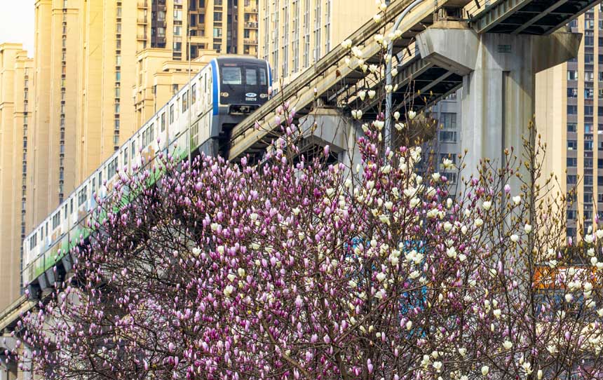 p܉܇ڻСԽһĴ쮋oؔz