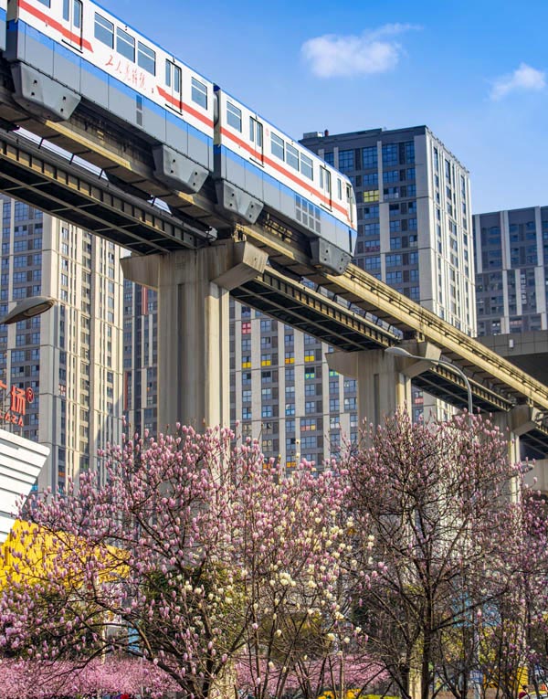 p܉܇ڻСԽһĴ쮋oؔz