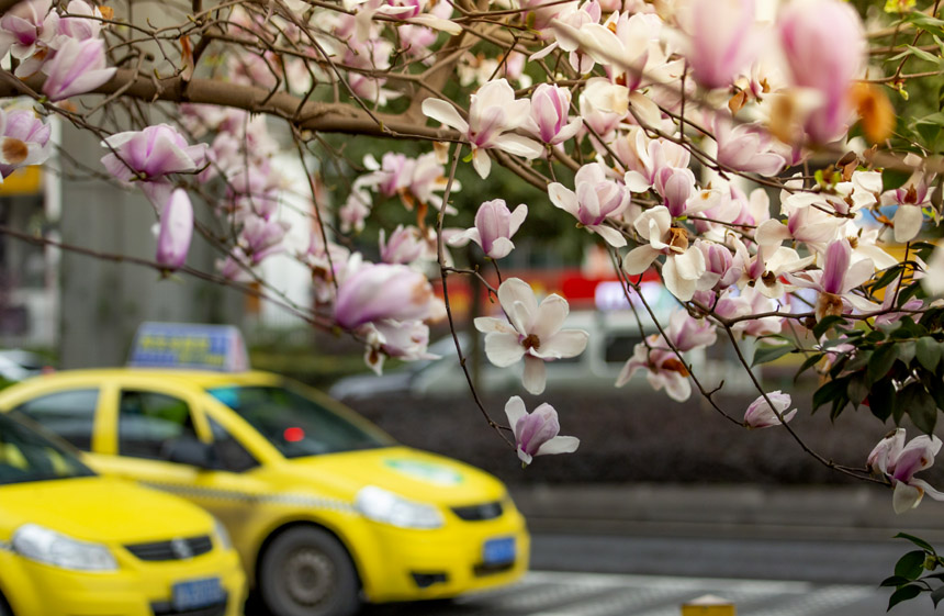 υ^ϴϵm_ѩoؔz