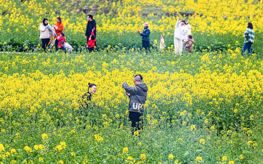 οؑcϴ^|ǽֵ^̤pz