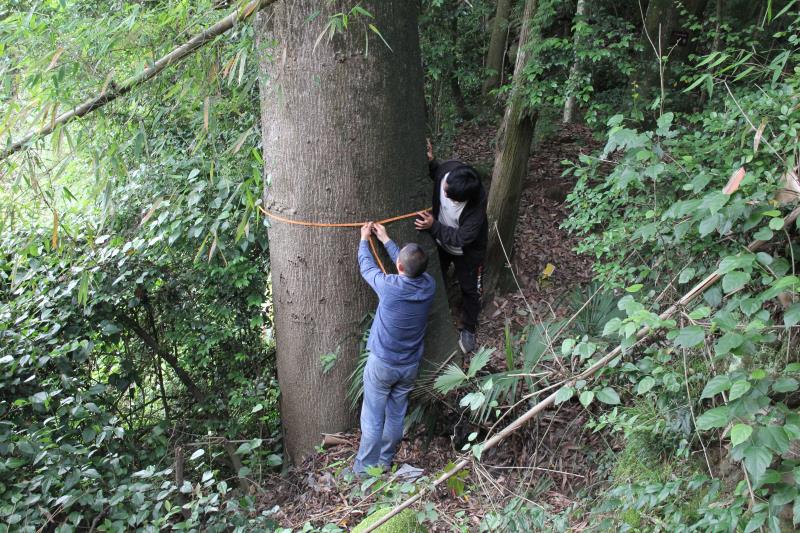 ؑclFϡlΣN·ֲN2322