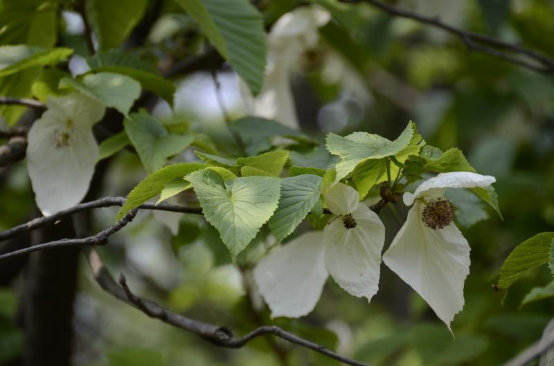 ؑclFϡlΣN·ֲN2324