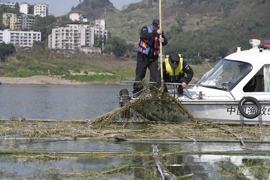 o~꠆TڬFѲ鲢Ɠp~Mмrޏ͢z