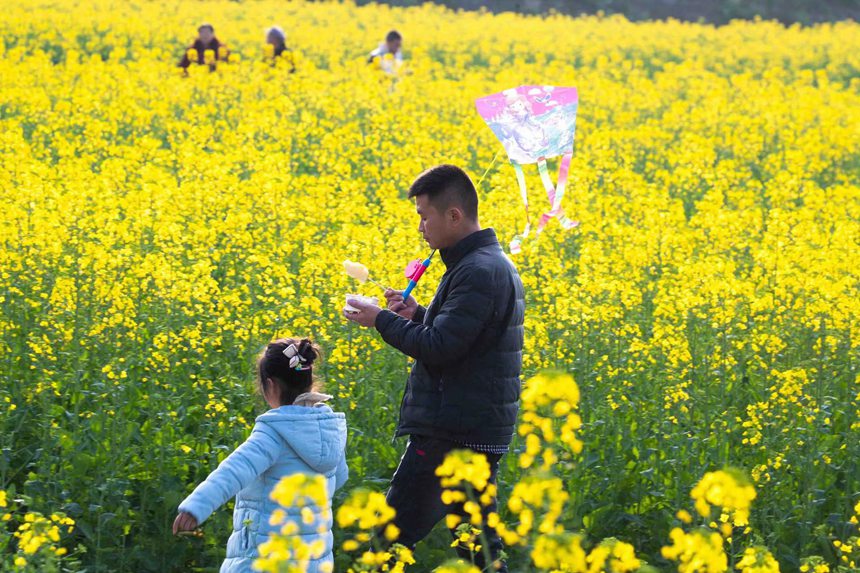 οؑcϴ^|ǽֵ^Ͳ˻pz