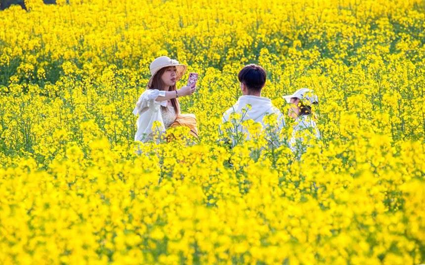 οؑcϴ^|ǽֵ^Ͳ˻pz