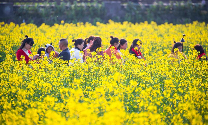 οؑcϴ^|ǽֵ^Ͳ˻pz