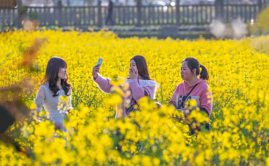 οؑcϴ^|ǽֵ^Ͳ˻pz