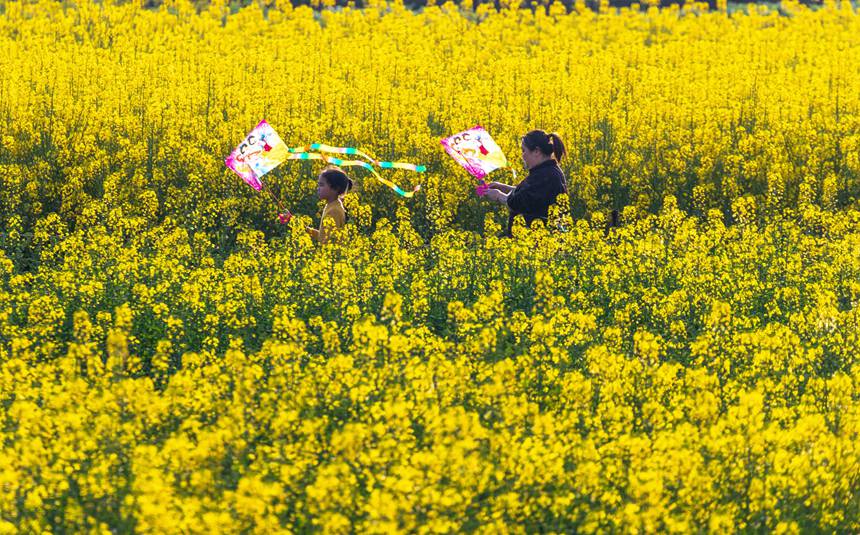 οؑcϴ^|ǽֵ^Ͳ˻pz