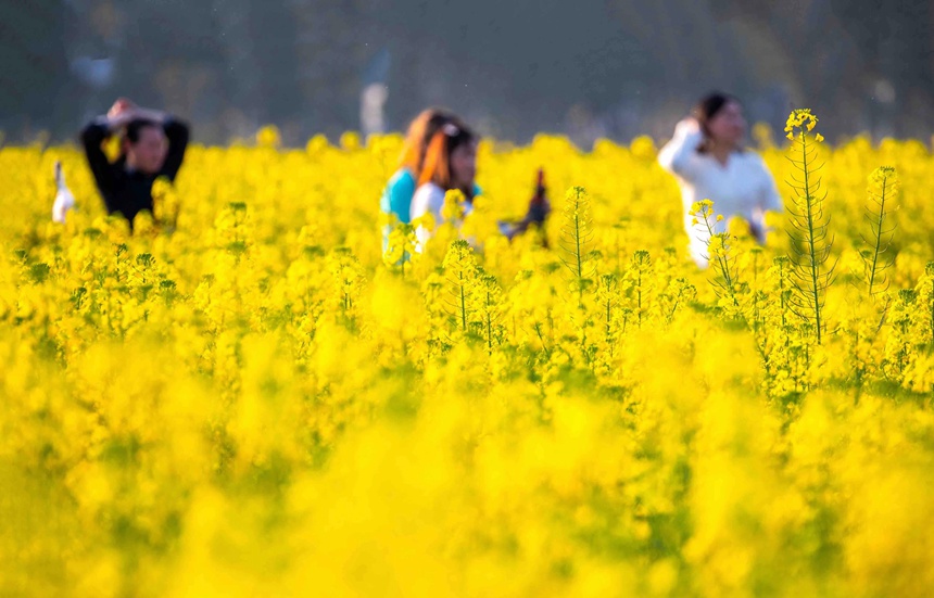 οؑcϴ^|ǽֵ^Ͳ˻pz