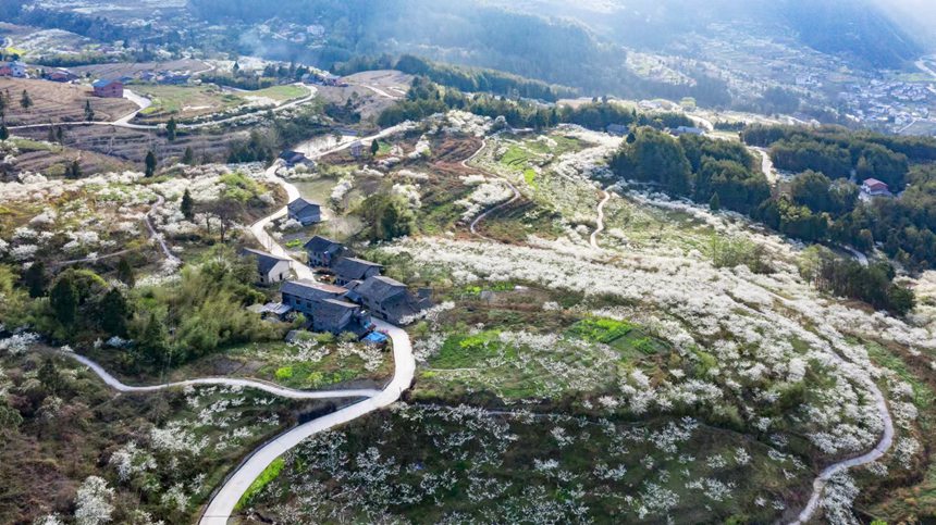 ؑcϴ^ɽԺǴɽ`ŵzo˙Cģ