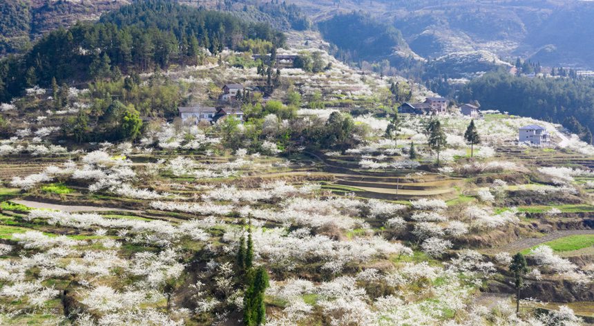 ؑcϴ^ɽԺǴɽ`ŵqzo˙Cģ