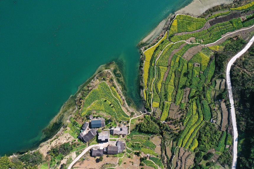 ؑcǭ^悴ƺ尢ϵLz