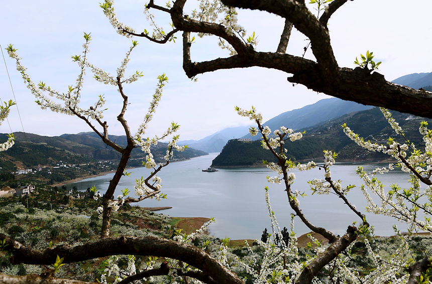 ؑcɽhlf஀ʢ_Rȑcz