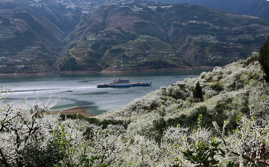 ؑcɽhlf஀ʢ_Rȑcz