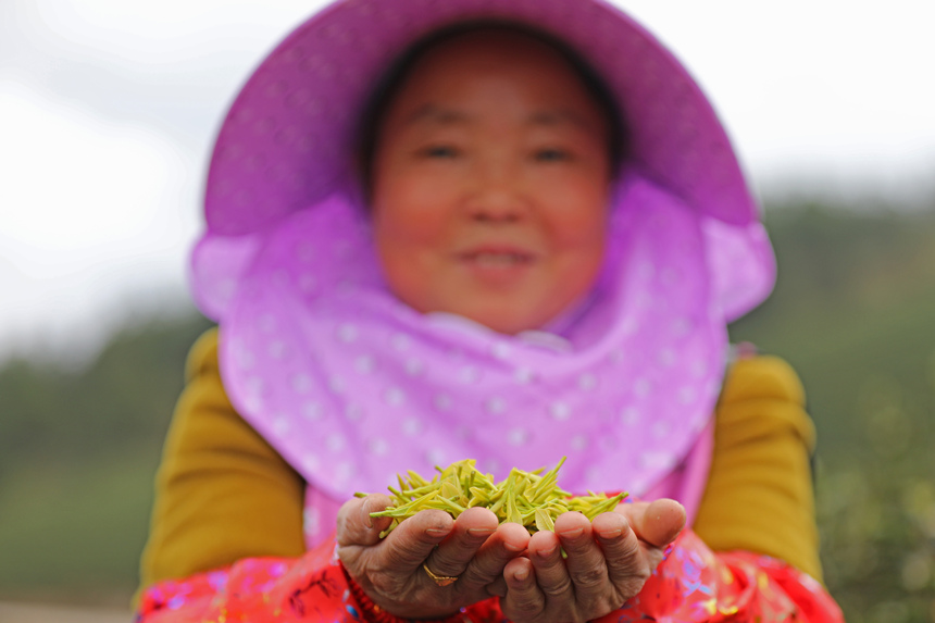 ڱ悵Ĳ@Ȳժǰͨ^ڼTڄչӼͥwz