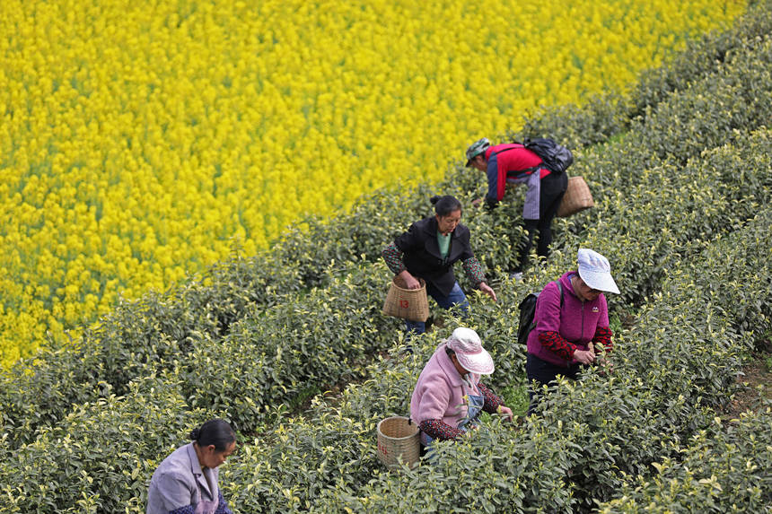 ڱ悵Ĳ@Ȳժǰwz