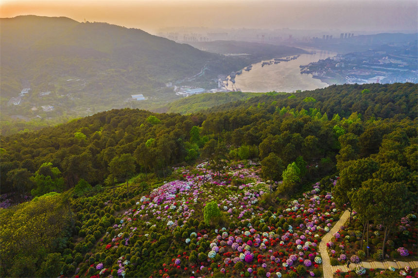 ÿ34ؑcϰ^ţдƬĶNaʢ_z