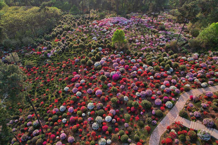 һش͵ĶNһɫĴĢHЩGҰۙζz