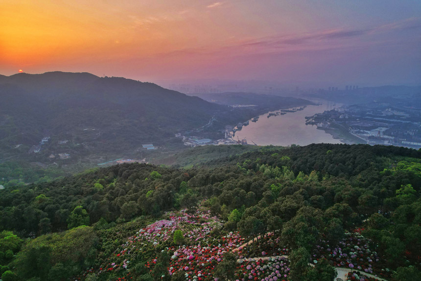 ÿ34ؑcϰ^ţдƬĶNaʢ_z