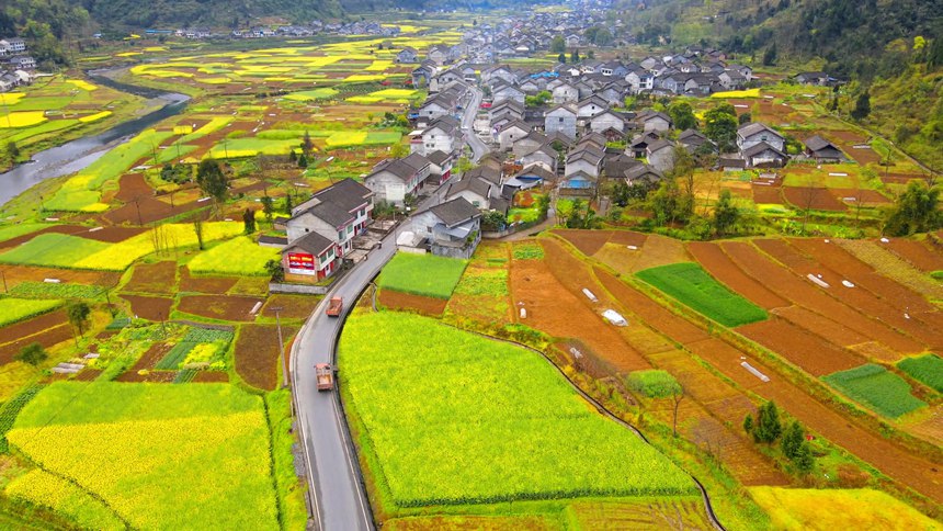 ؑcɽhϪ悵lL̔z