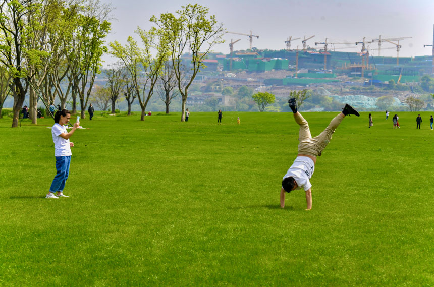 СLڏVꖍuґ޾ӡz