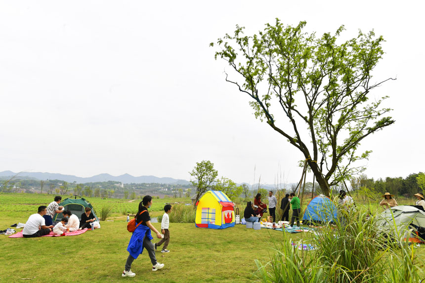 Vꖍu¶IҰܴů޾ӡz