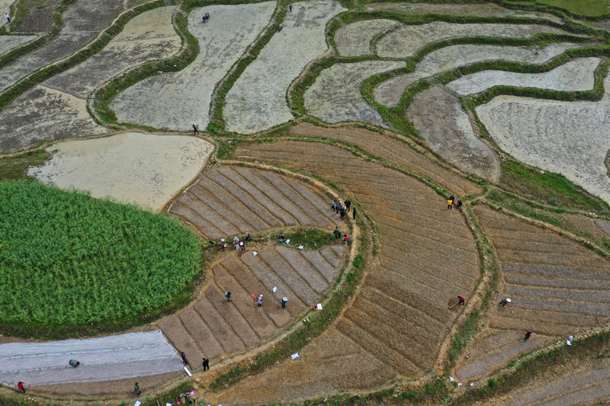 46ؑcˮͩlɳgwz