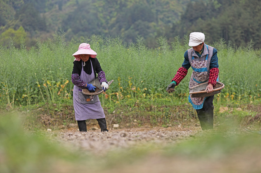 46ؑcˮͩlɳgwz