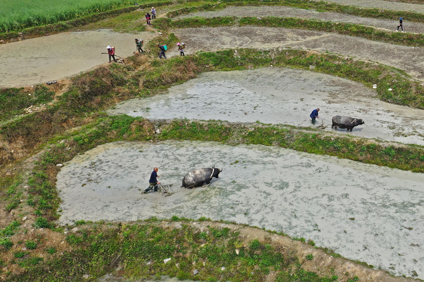 46ؑcˮͩlɳڸwz