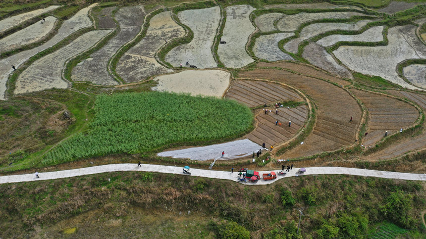 46ؑcˮͩlɳgwz