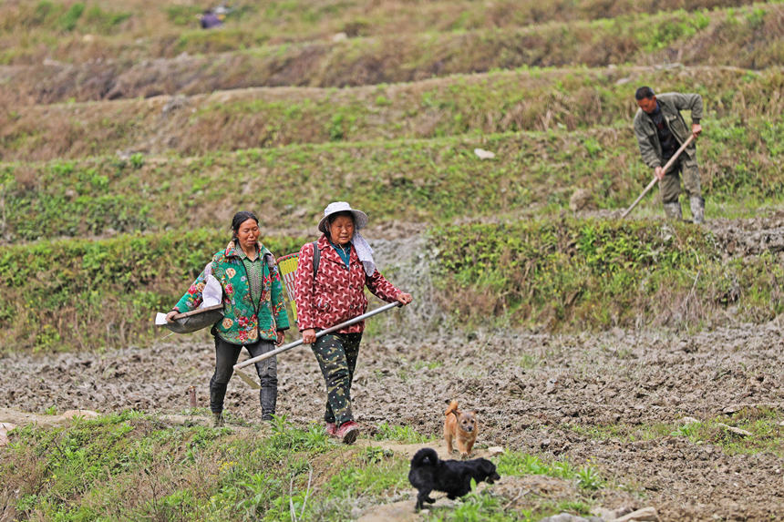 46ؑcˮͩlɳκrgO󷽱wz