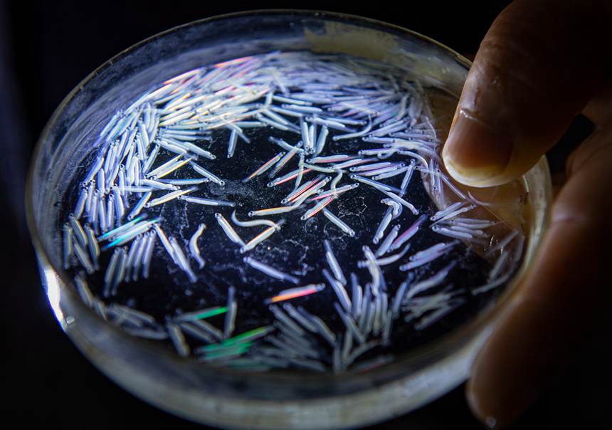 ֬~׃~һܵĕrgȽ܊z