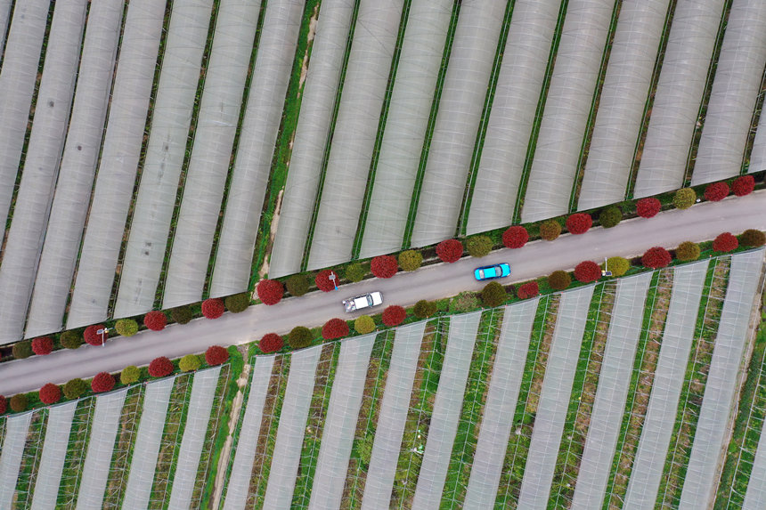 ܇vؑcǭ^dȪĮaI·z