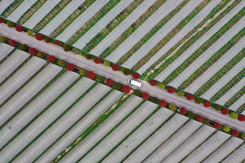 ܇vؑcǭ^dȪĮaI·z