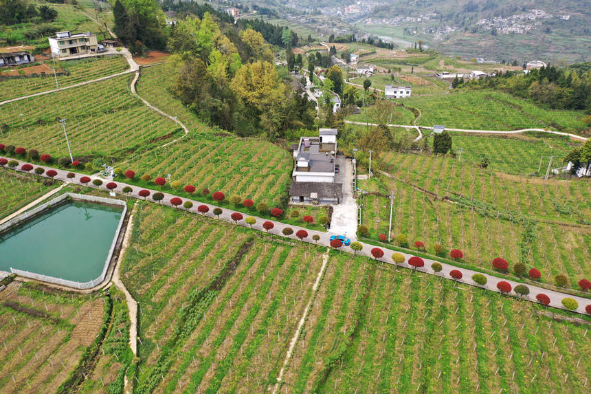 ܇vؑcǭ^dȪĮaI·z