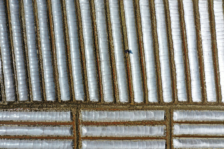 ؑcǭ^Rɼڹo紲z