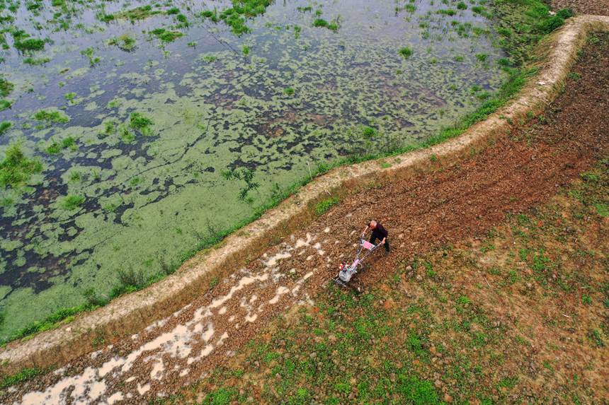 ؑcˮ悵׷Nֲ΢Cz