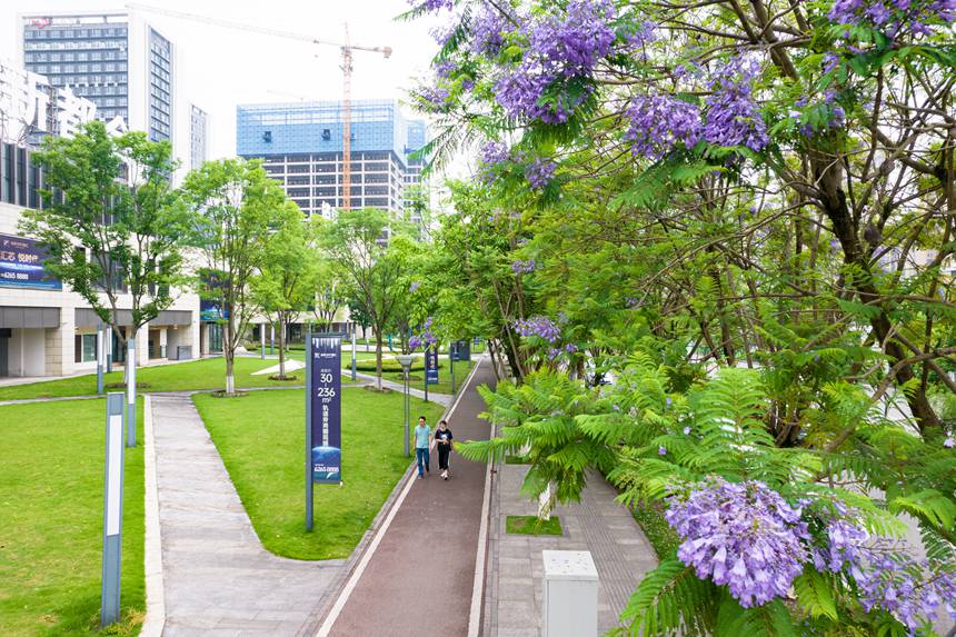 ؑcϰ^VꖞǄBͨ{ʢ_־z