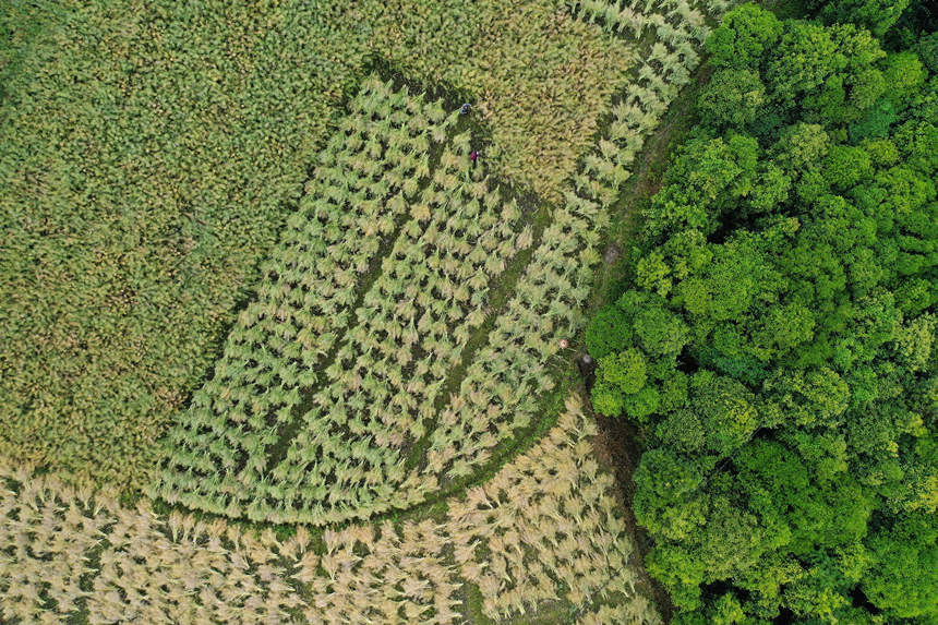 ؑcǭ^СϺ悴·^ոͲz