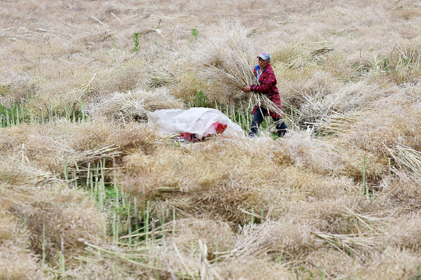 ؑcǭ^СϺ悴·^ڴͲz