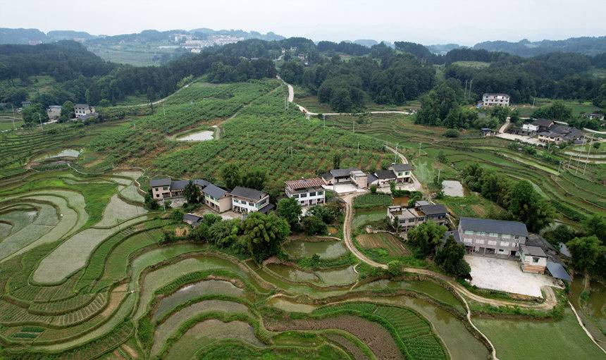 ƬGɫSյϣSӔz