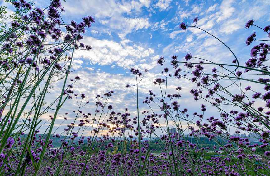 ССĻSLuҷ̎ƯĚϢ֔z