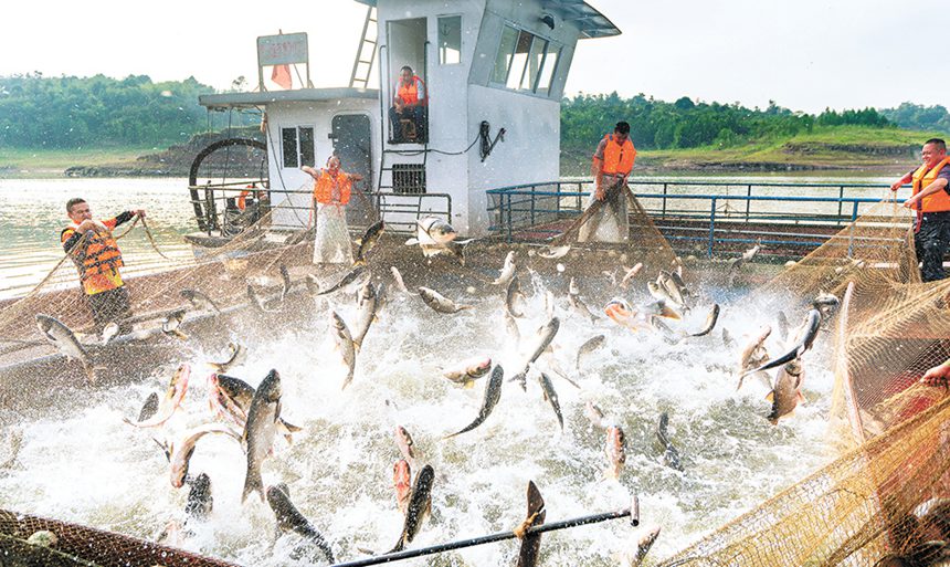 2020523Lۅ^LۺˆTվW~@ЩBBֳ~SĲͨӍT  z/ҕXؑc