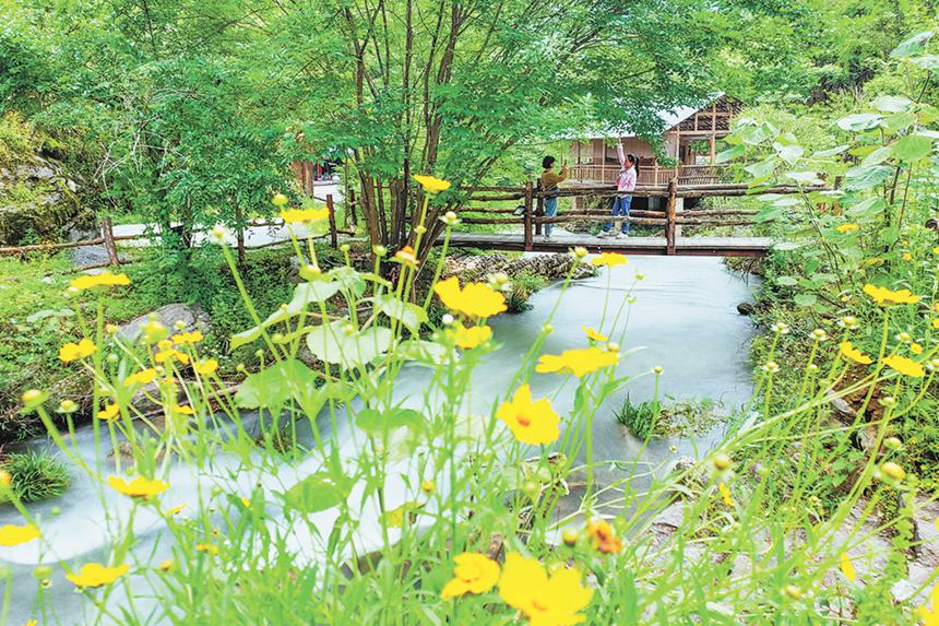 517ɽhʯҮ悰կ¶Iο[[ɽg^ӛ  z/ҕXؑc