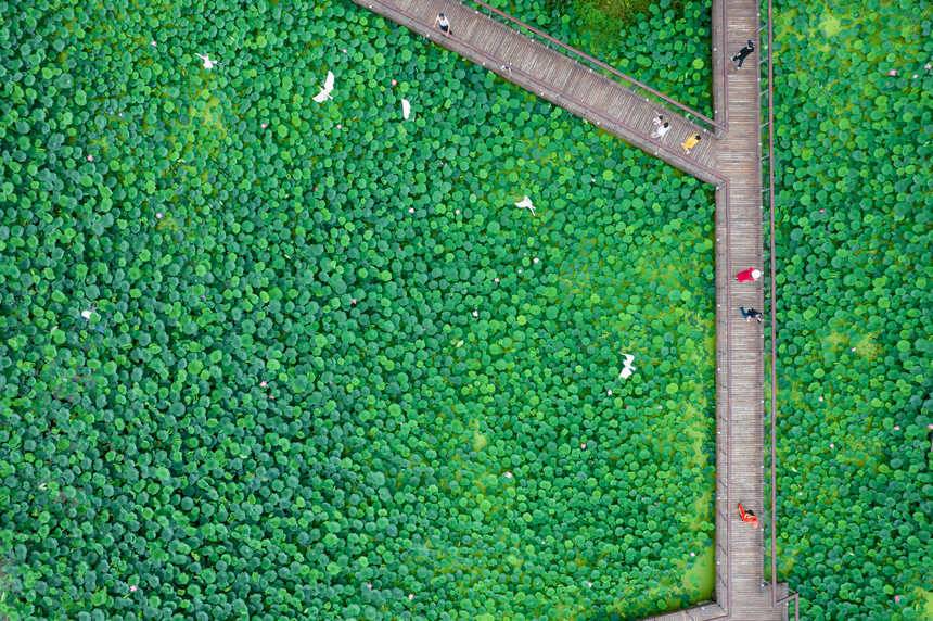 ؑcϪ@ȵĺɫ־z