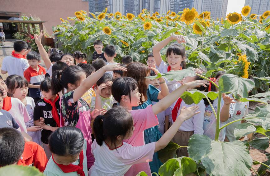 nðMտ@ɽ^ǺWУD