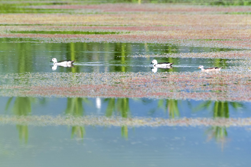 ҶoDpҝع@ˮґˣȑєz