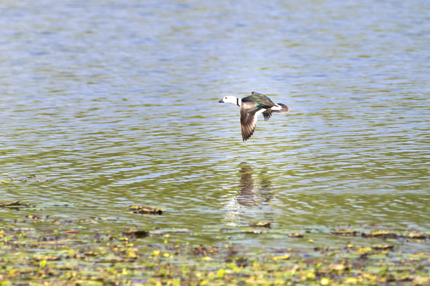 ҶoDpҝع@ˮґˣȑєz