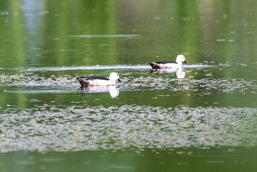 ҶoDpҝع@ˮґˣȑєz