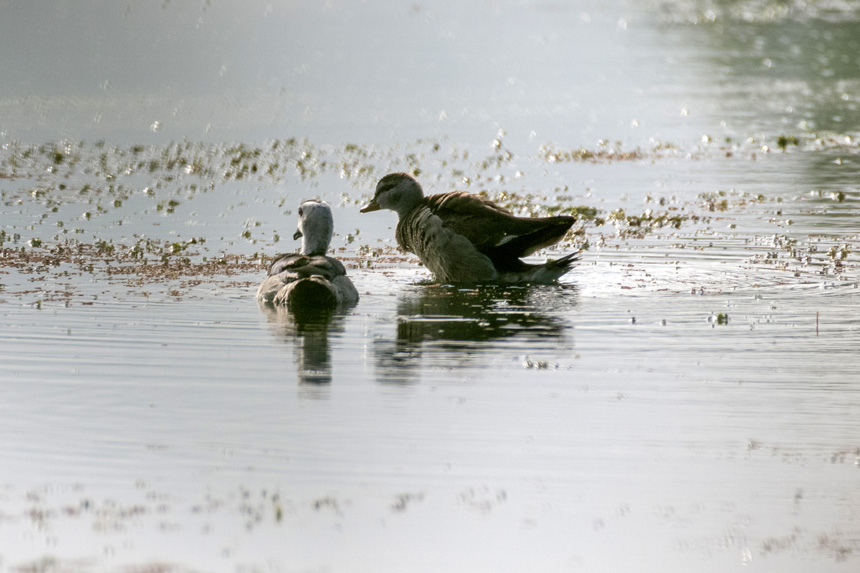 ҶoDpҝع@ȺЗϢҒʳȑєz